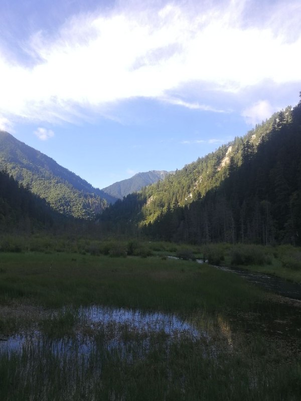 ---《雨停在傍晚》雨是在四点二十分停的