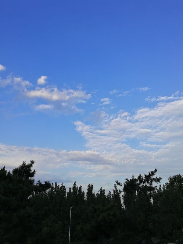 读 · 第17页“每个人都有自己的风雪